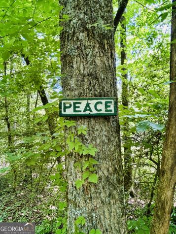 1815 Canoe Creek Drive Hiawassee GA 30546