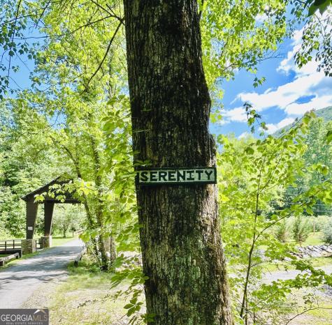 1815 Canoe Creek Drive Hiawassee GA 30546