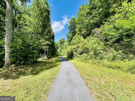 1815 Canoe Creek Drive Hiawassee GA 30546