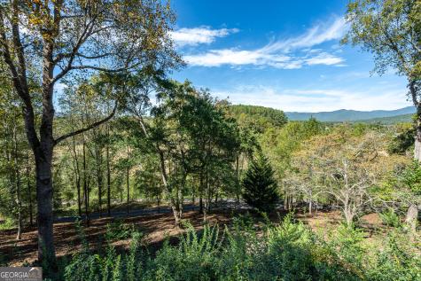 201 Primose Lane Hayesville NC 28904