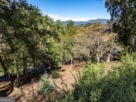 201 Primose Lane Hayesville NC 28904