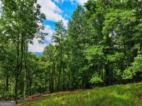 1220 Walnut Ridge Ellijay GA 30536