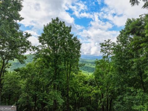 1220 Walnut Ridge Ellijay GA 30536