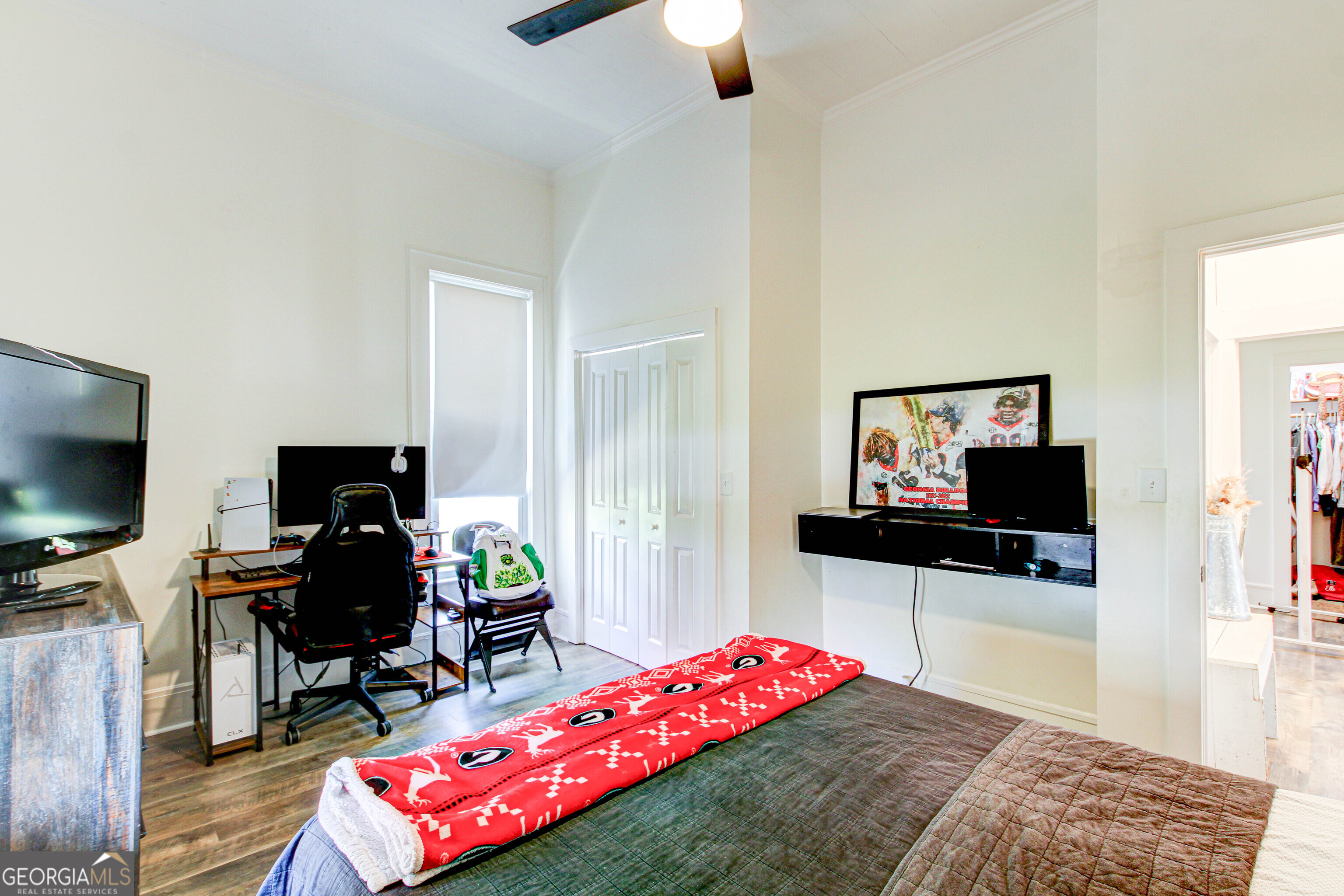 226 Mill Street Bowdon GA 30108