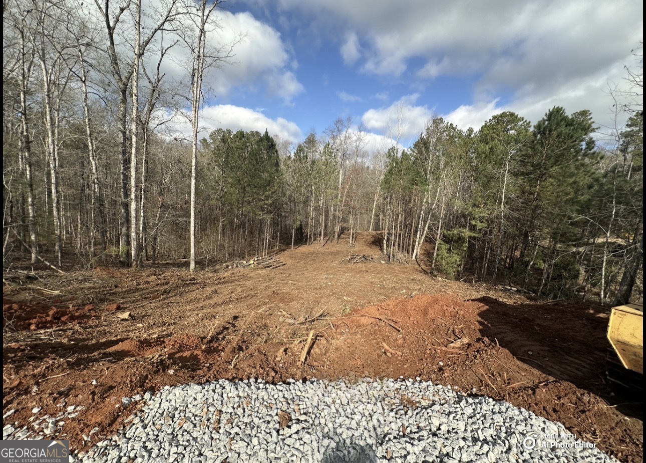 1698 Shoal Creek Way Bishop GA 30621