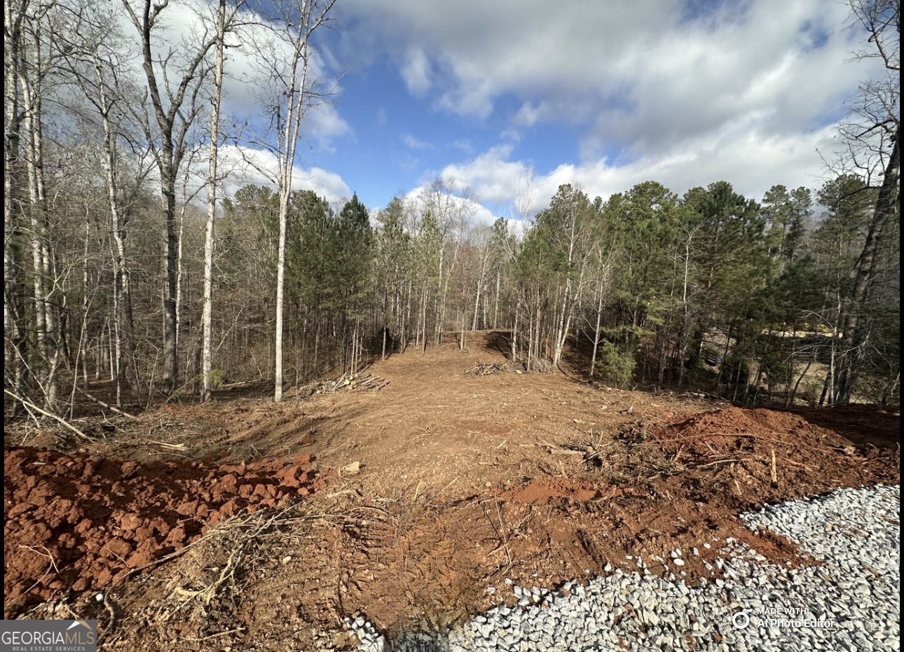 1698 Shoal Creek Way Bishop GA 30621