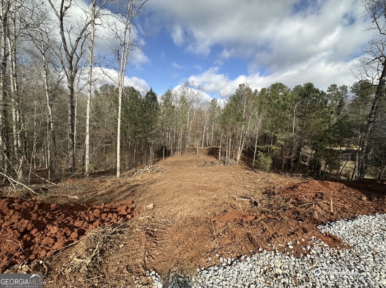 1698 Shoal Creek Way Bishop GA 30621