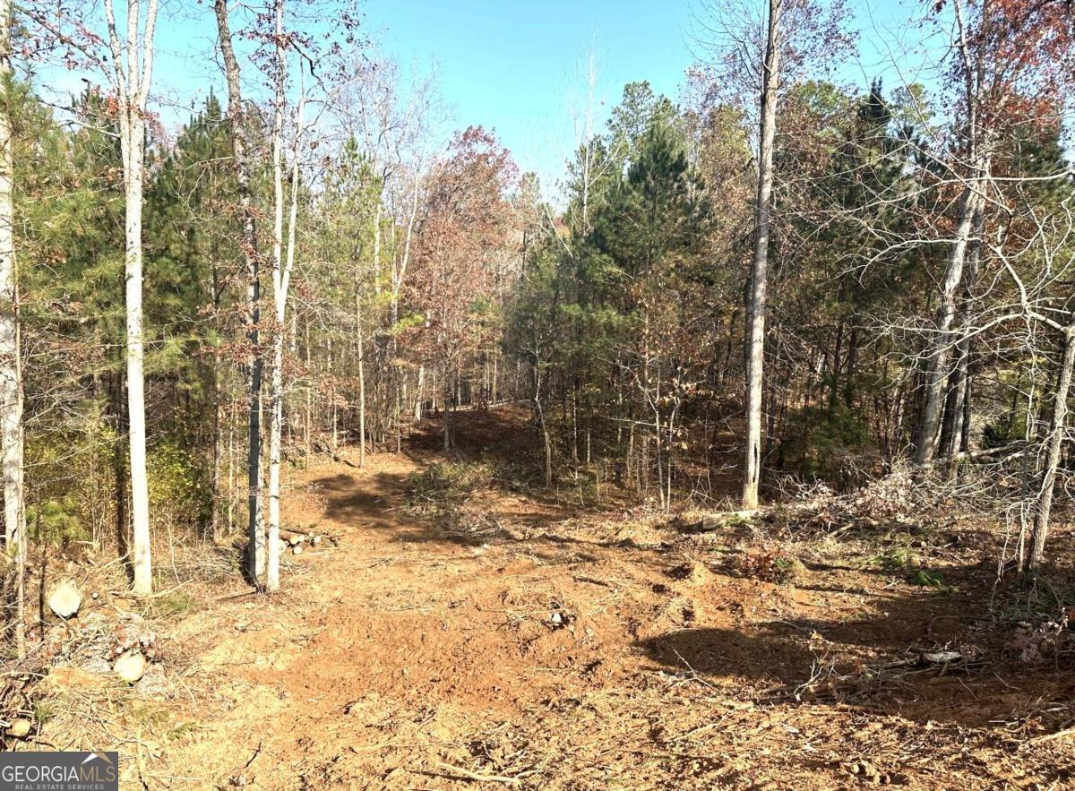 1698 Shoal Creek Way Bishop GA 30621