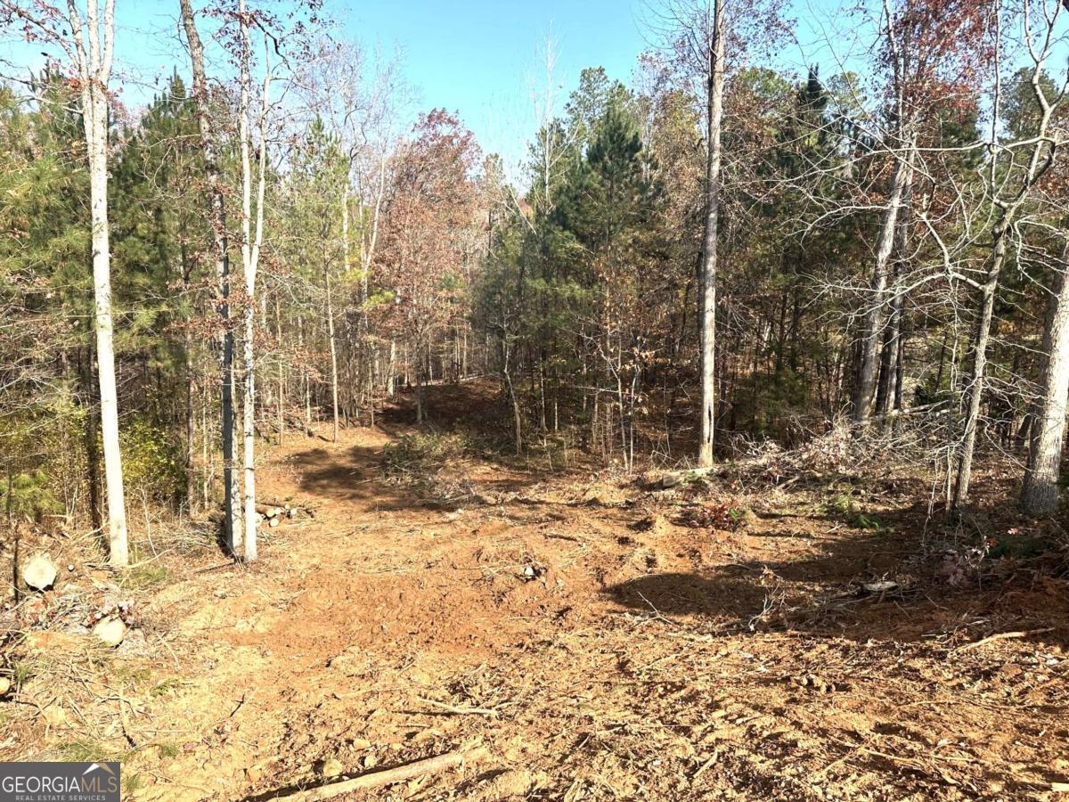 1698 Shoal Creek Way Bishop GA 30621