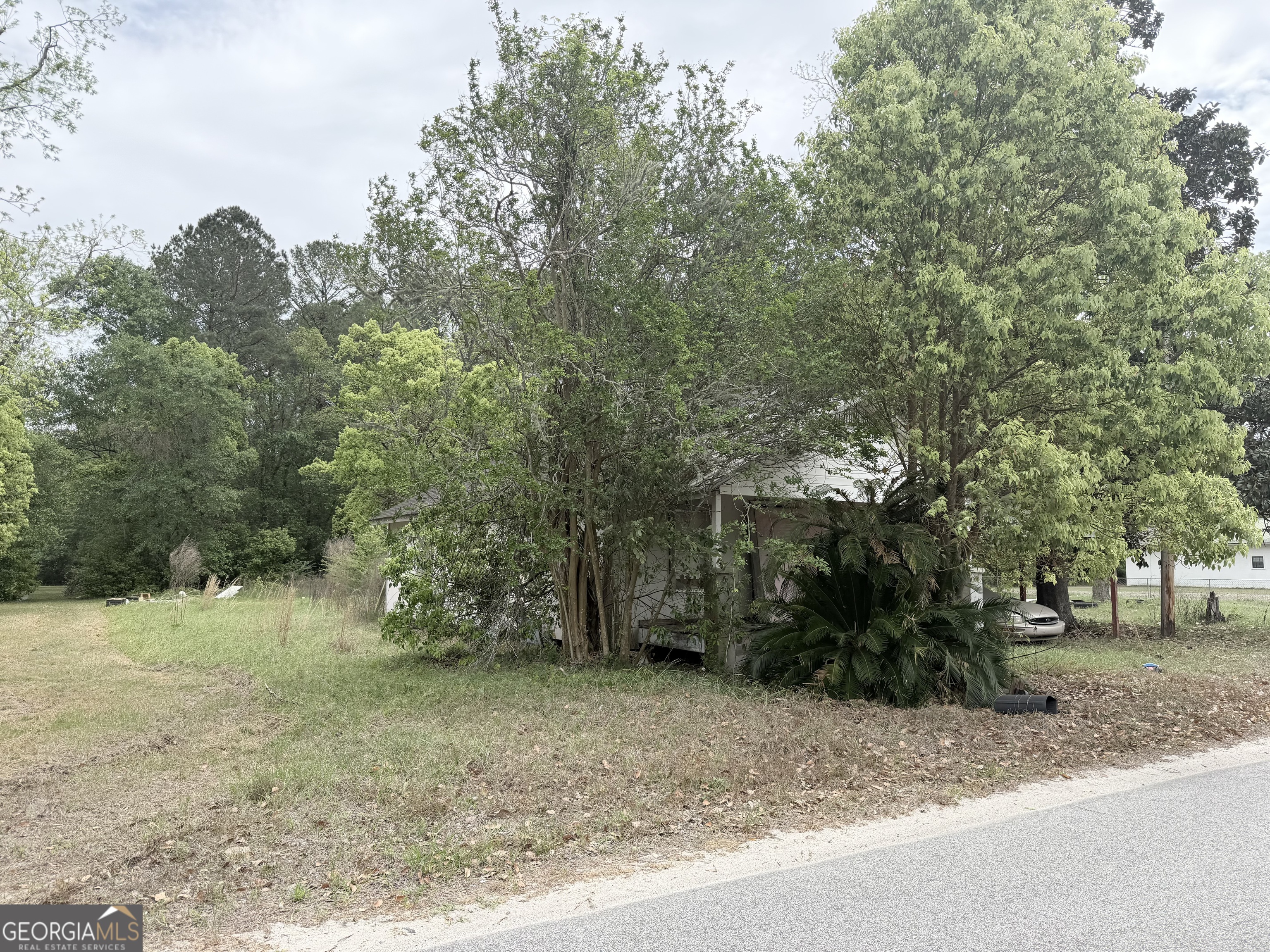501 Watson Street Blackshear GA 31516