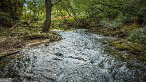 66 Woodland Trail Epworth GA 30541