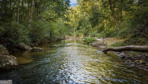 66 Woodland Trail Epworth GA 30541