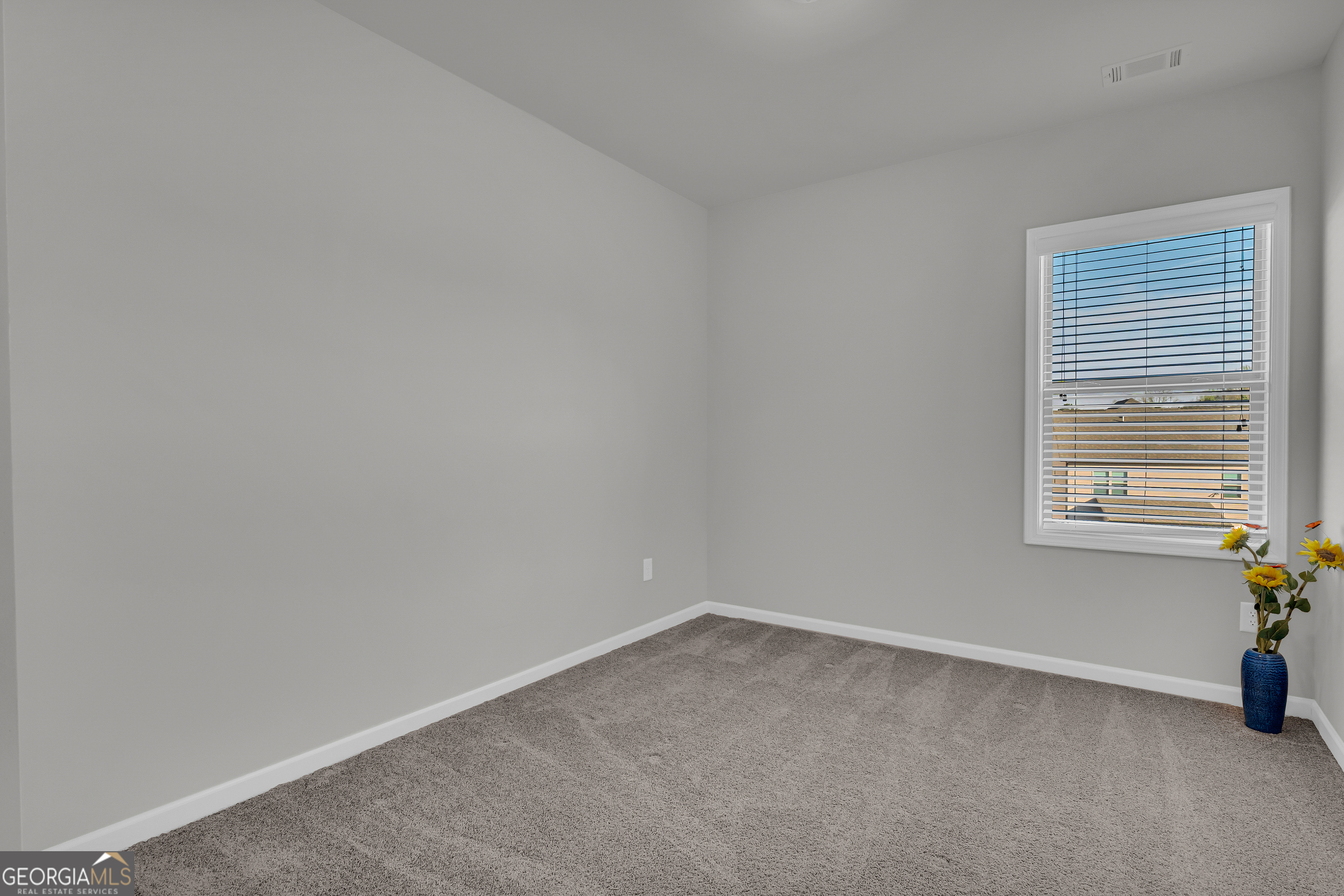 7129 Birch View Court Flowery Branch GA 30542