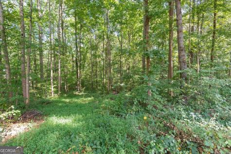 356 Waterway Trail Powder Springs GA 30127