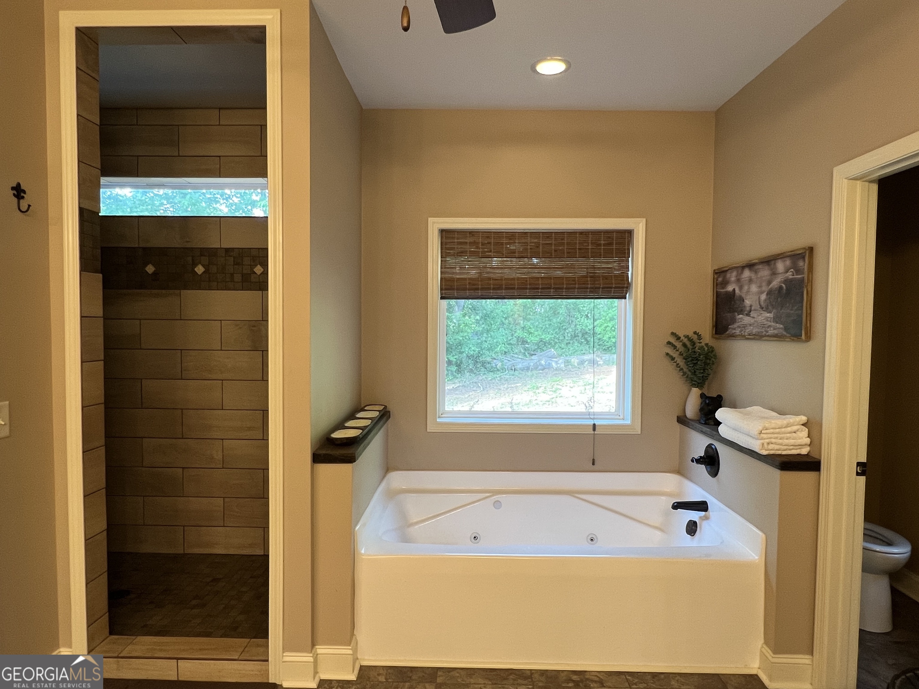 1260 Nelms Road Carnesville GA 30521