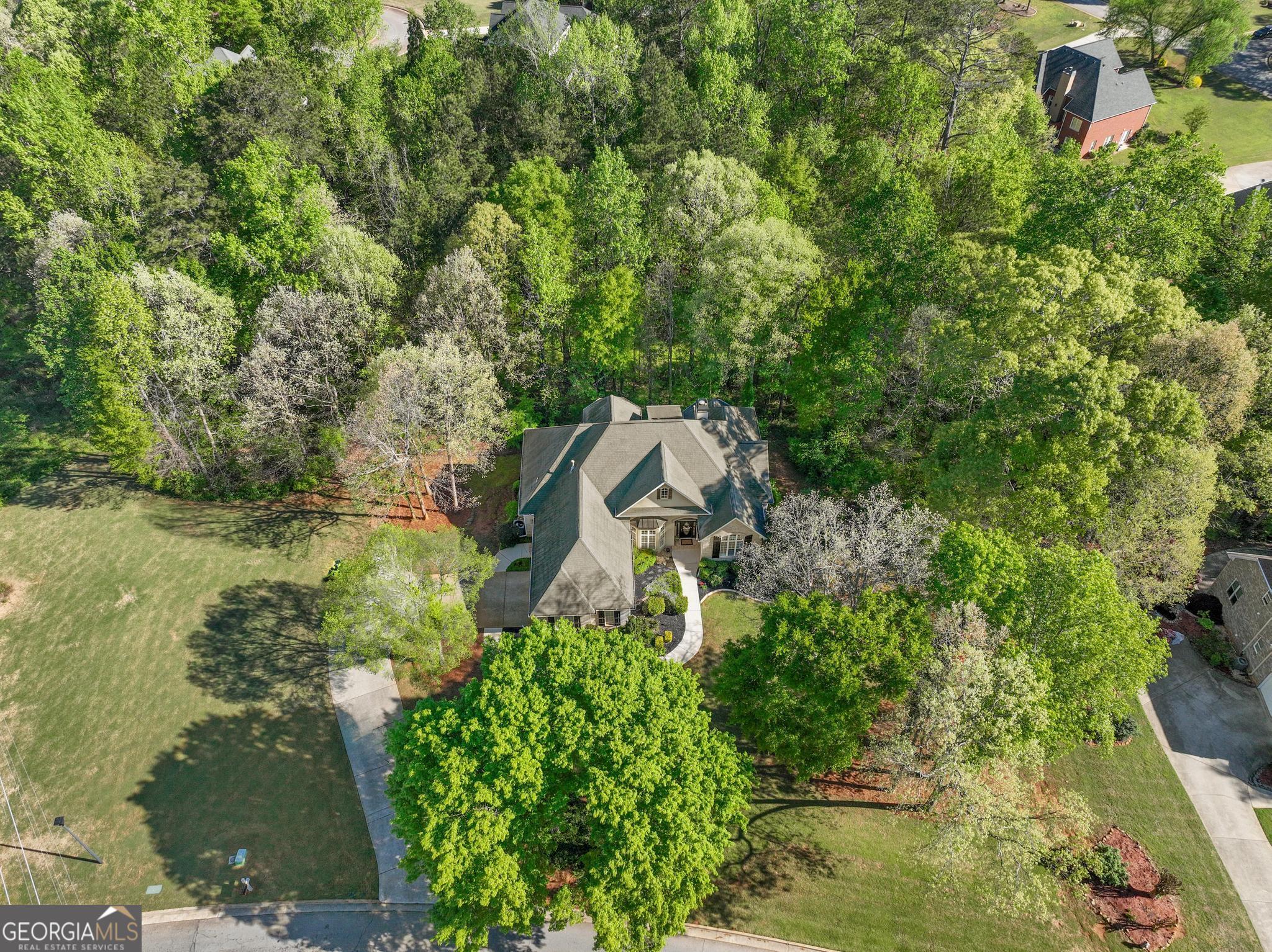 6160 Montlake Avenue Mcdonough GA 30253