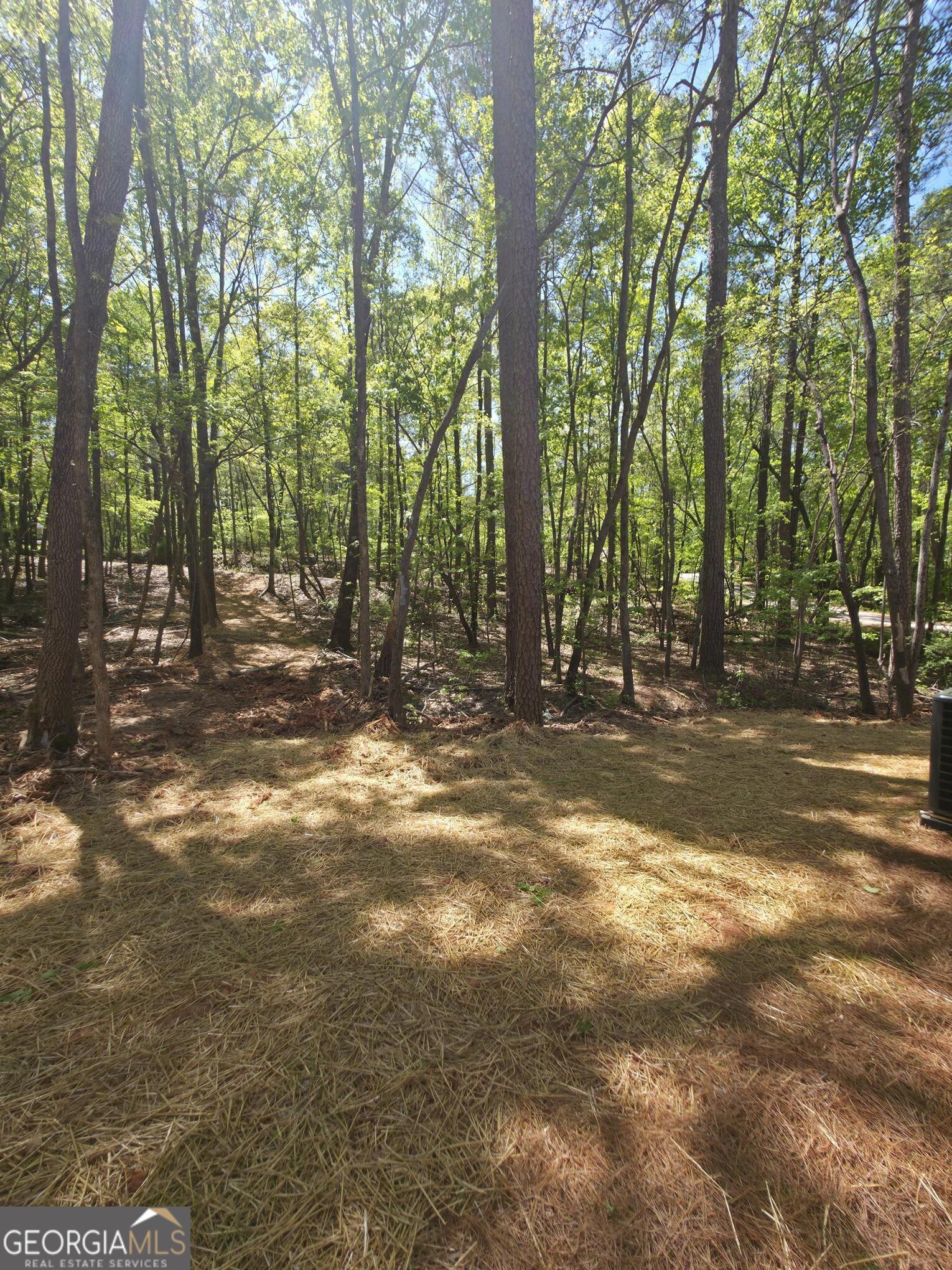 255 Hanover Drive Bogart GA 30622