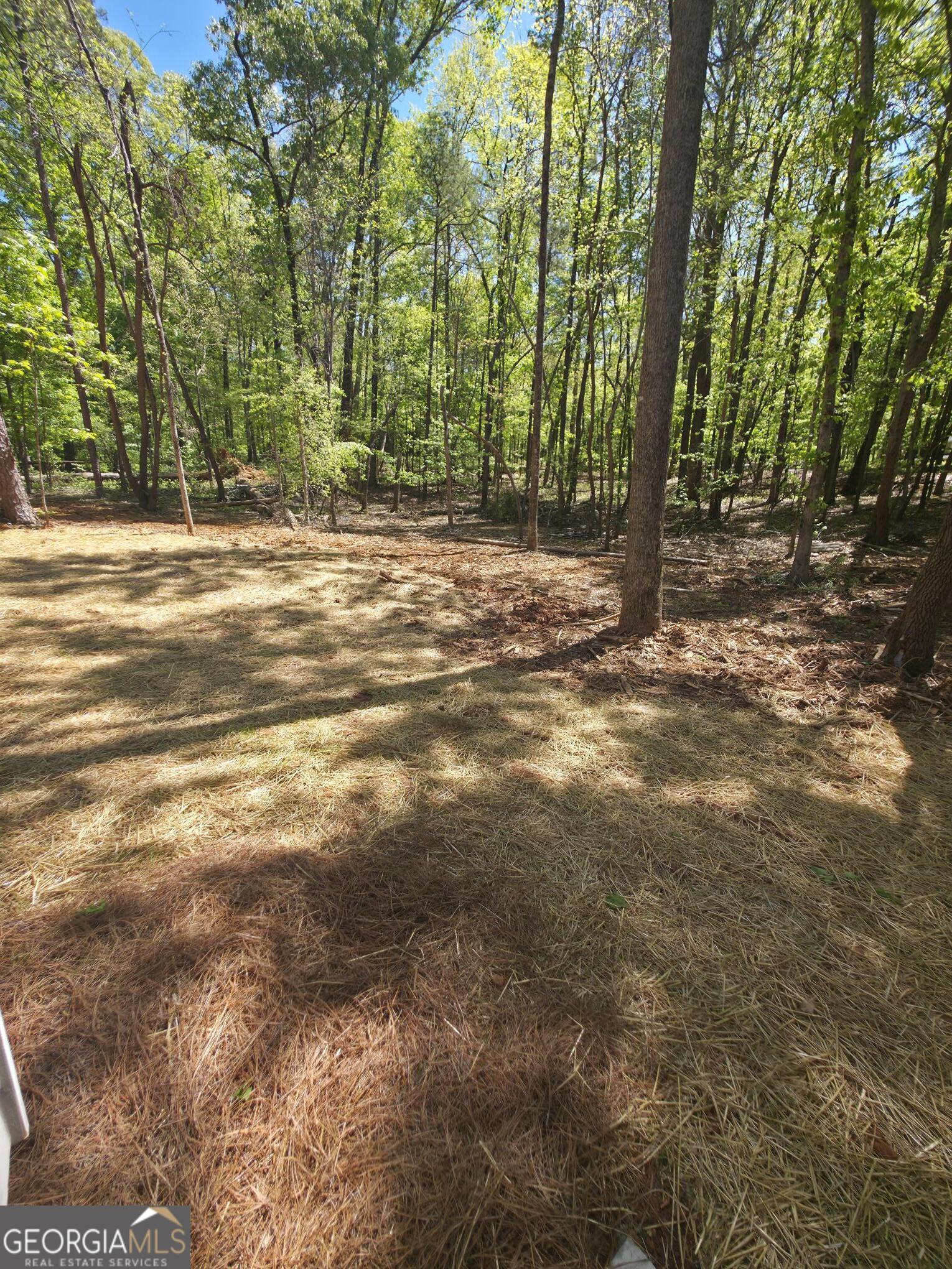 255 Hanover Drive Bogart GA 30622
