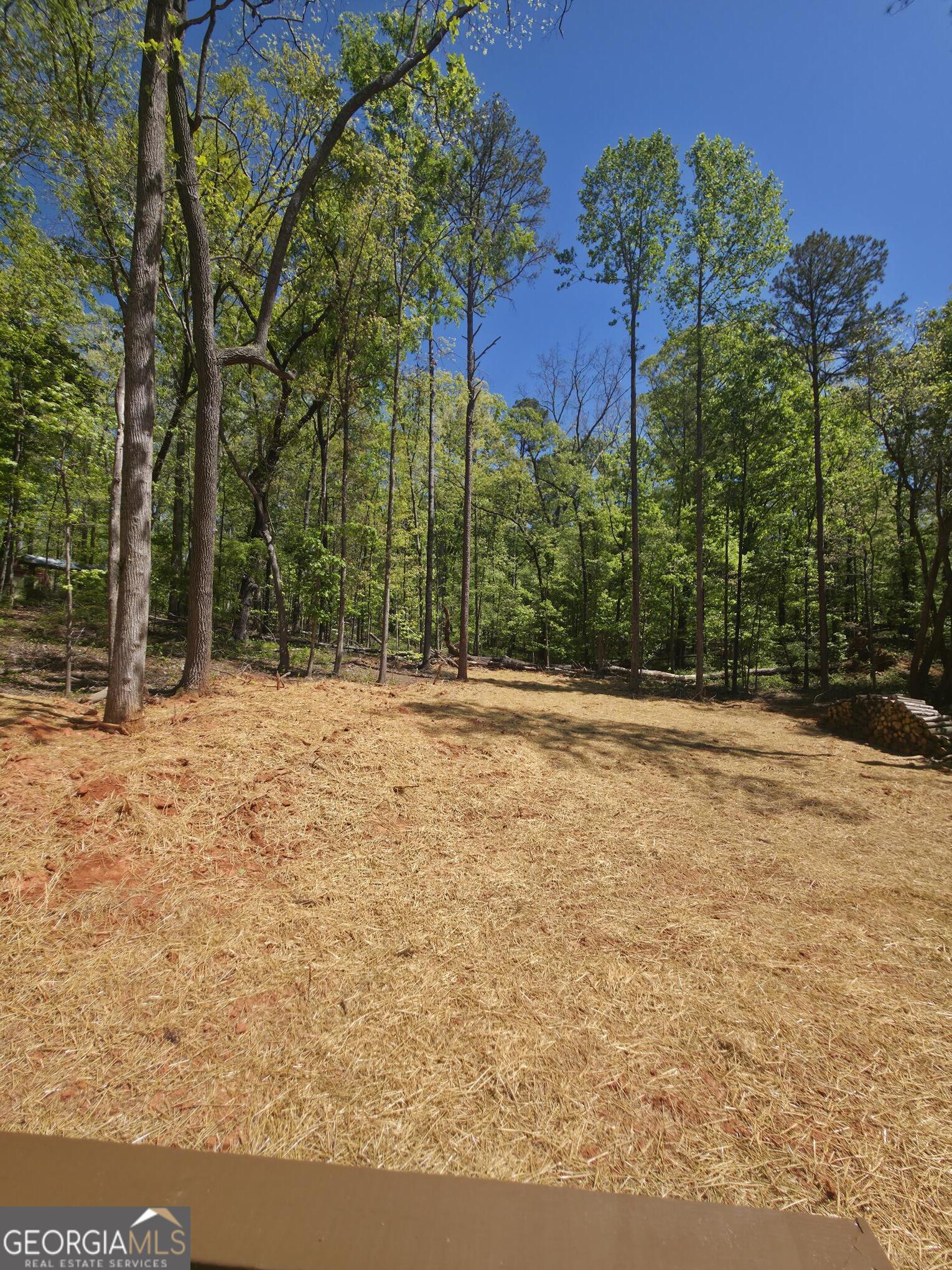255 Hanover Drive Bogart GA 30622