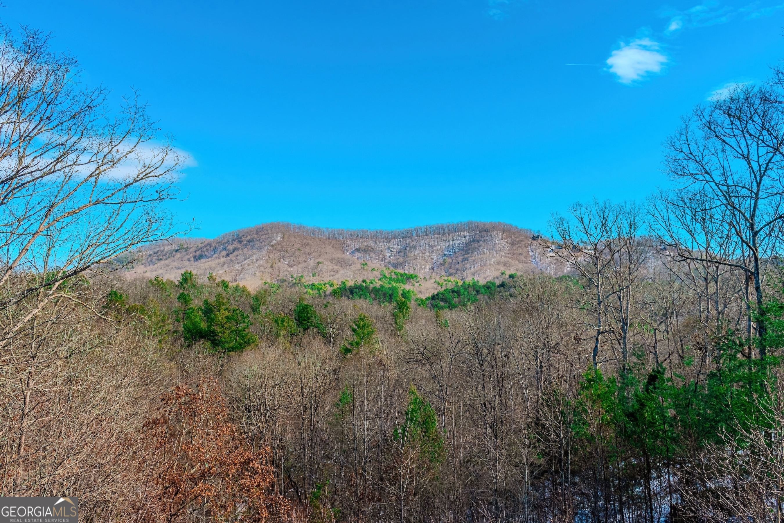 1023 Knollwood Road Mineral Bluff GA 30559