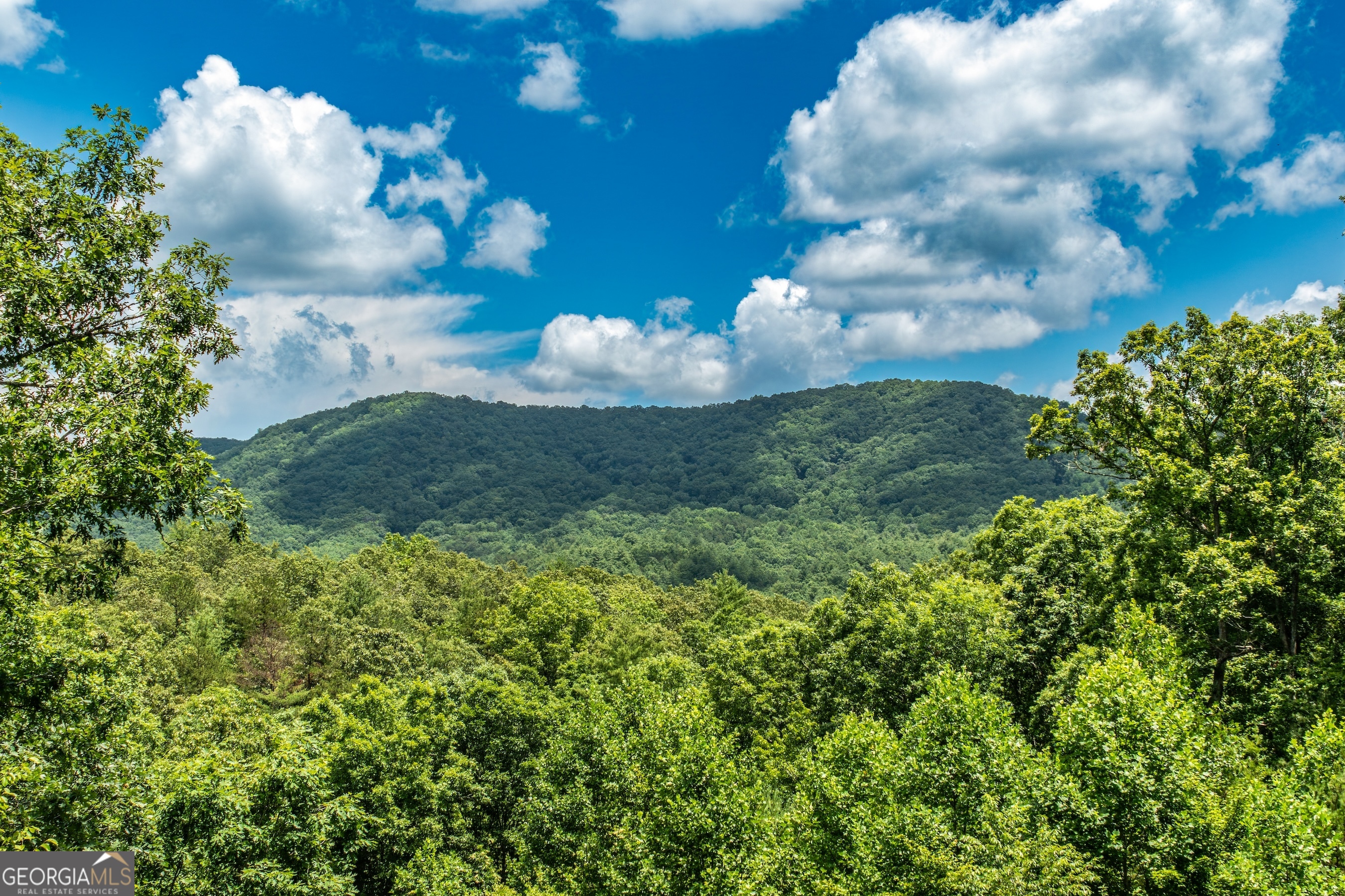 1023 Knollwood Road Mineral Bluff GA 30559