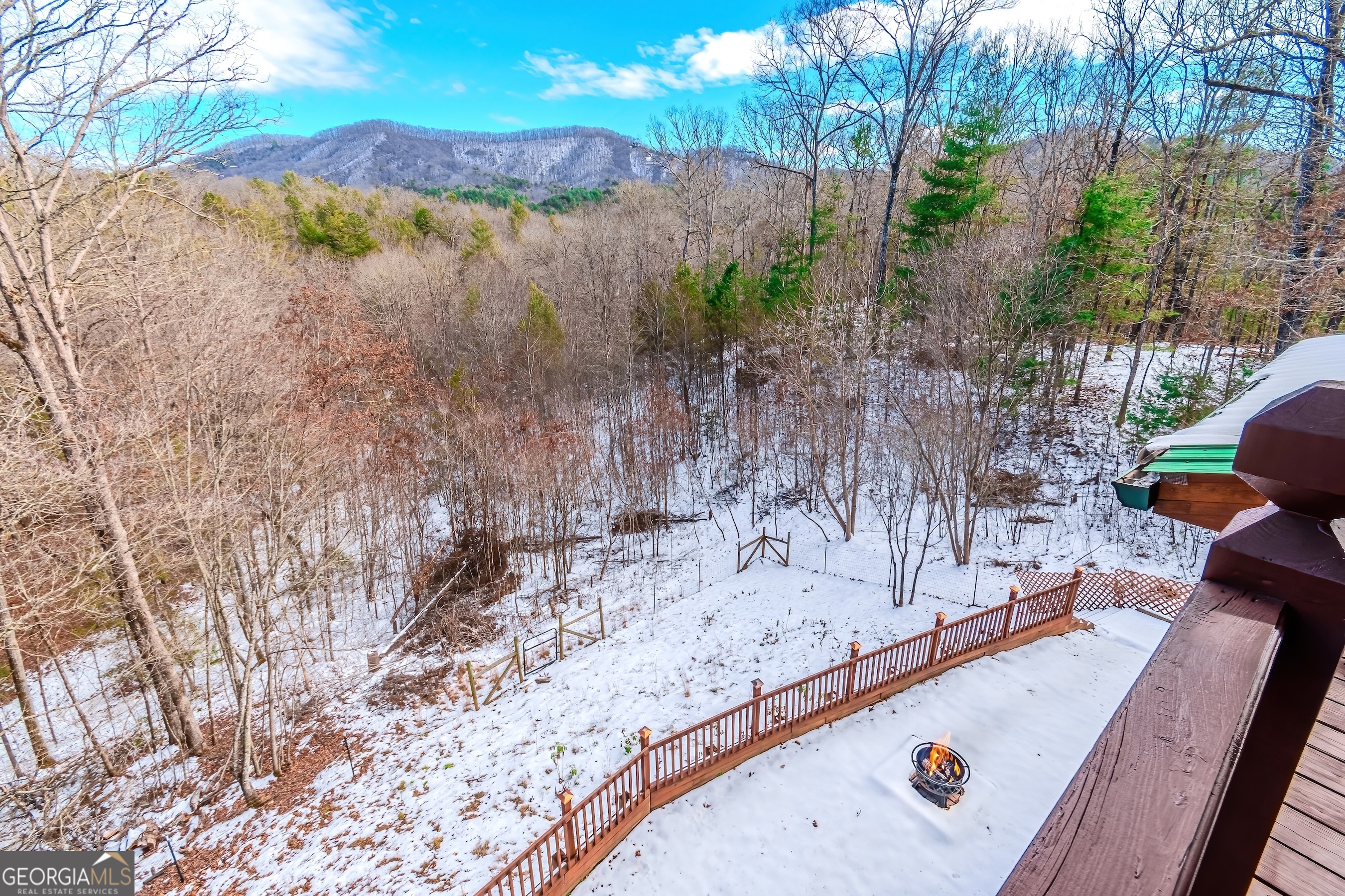 1023 Knollwood Road Mineral Bluff GA 30559