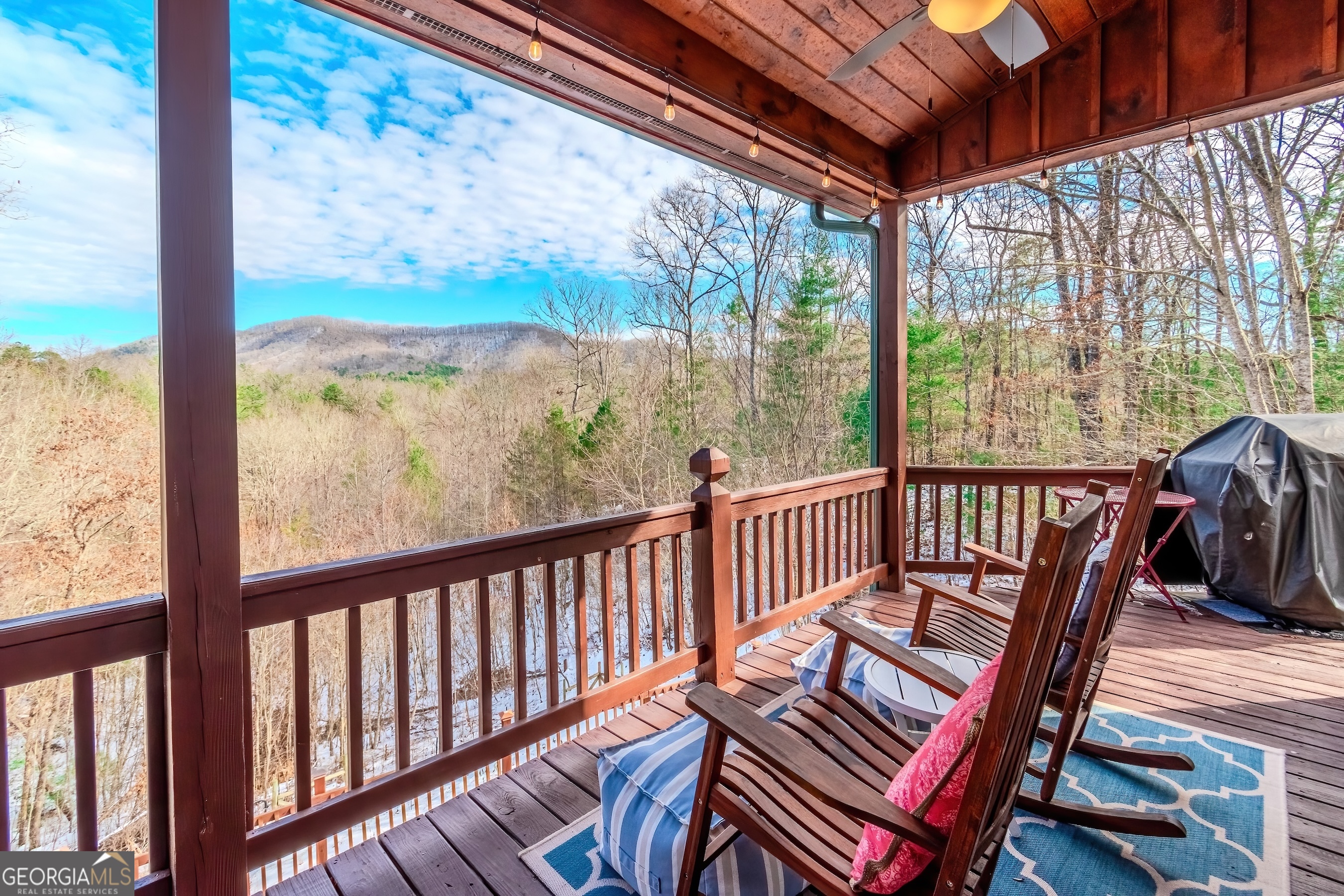 1023 Knollwood Road Mineral Bluff GA 30559