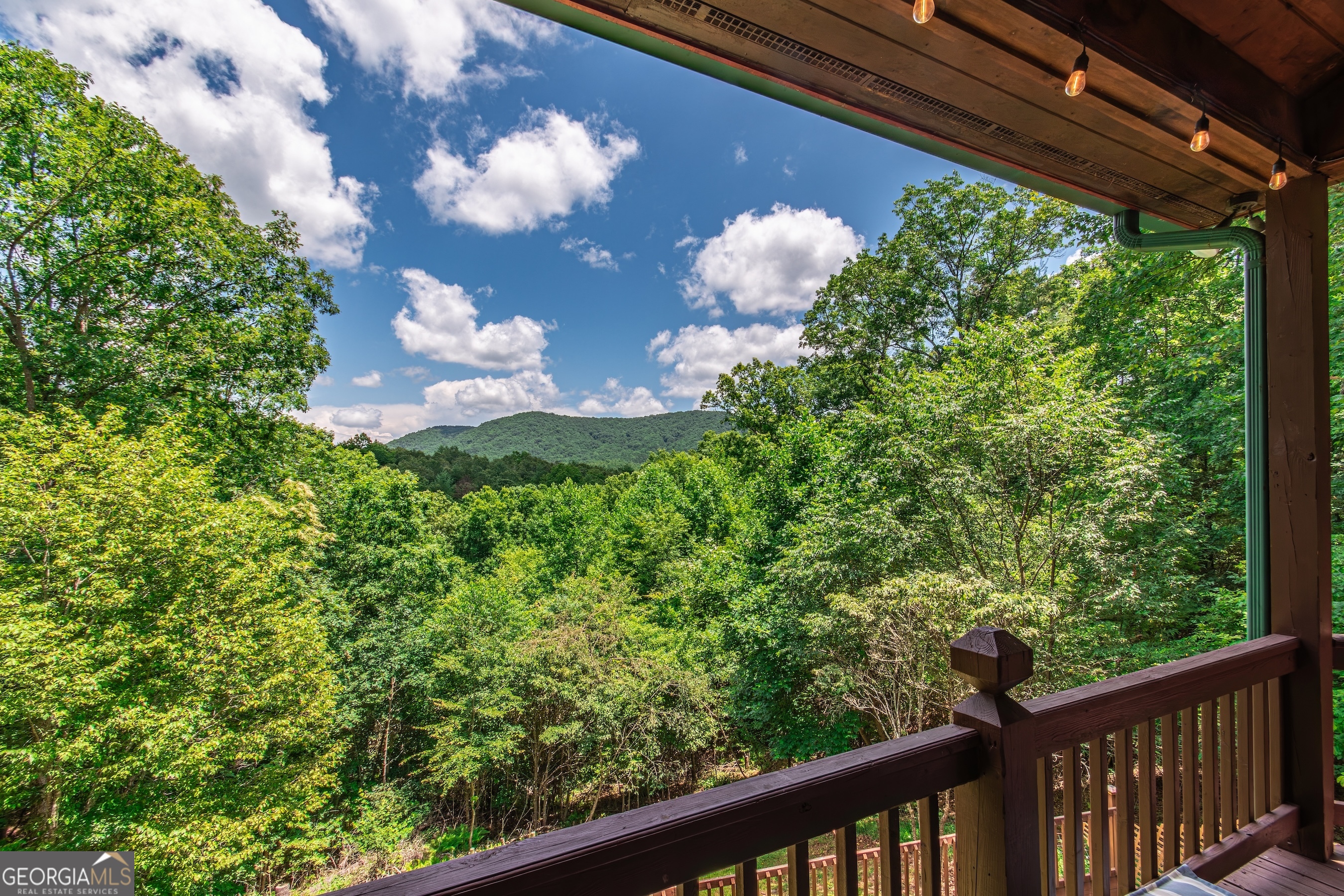 1023 Knollwood Road Mineral Bluff GA 30559