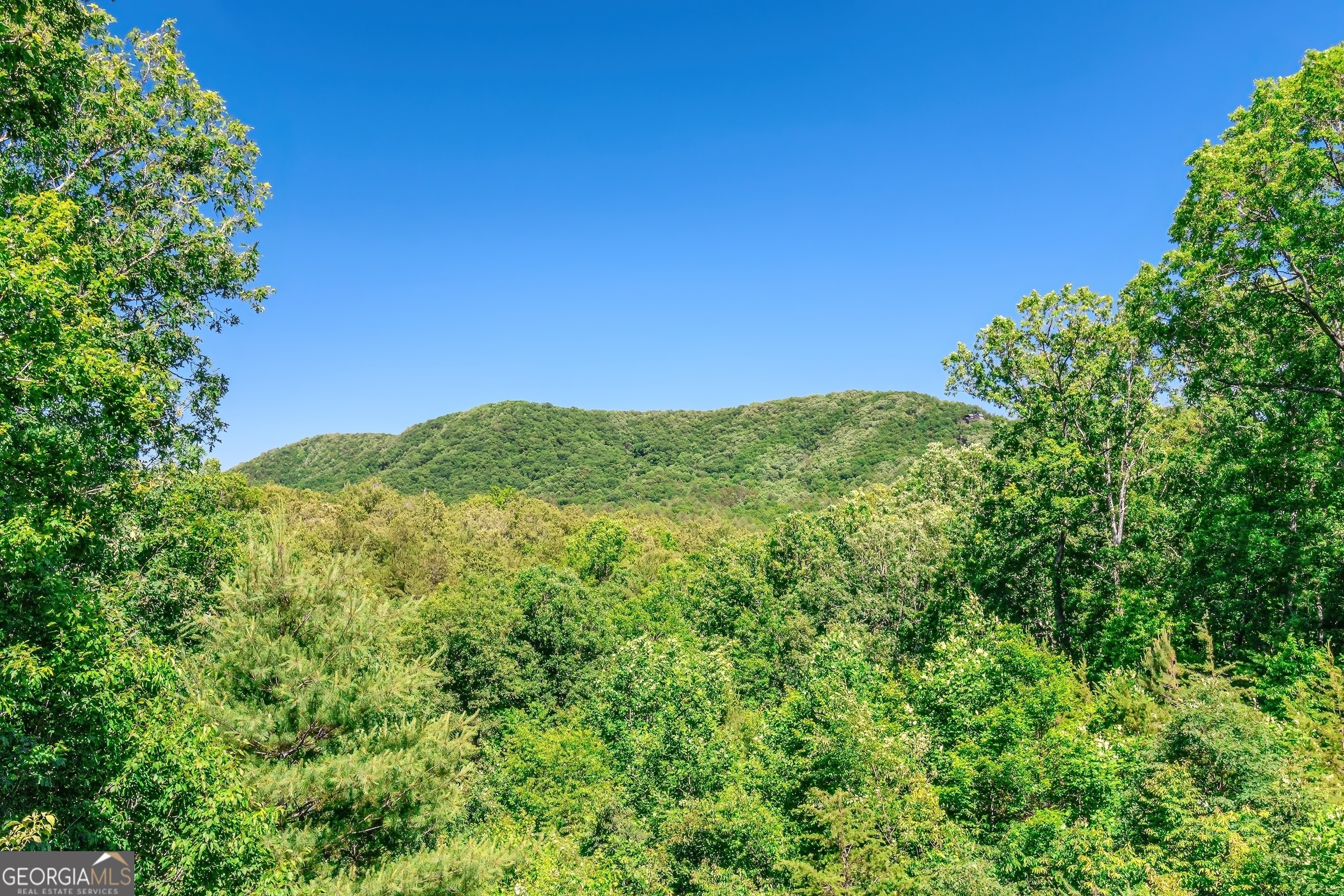 1023 Knollwood Road Mineral Bluff GA 30559