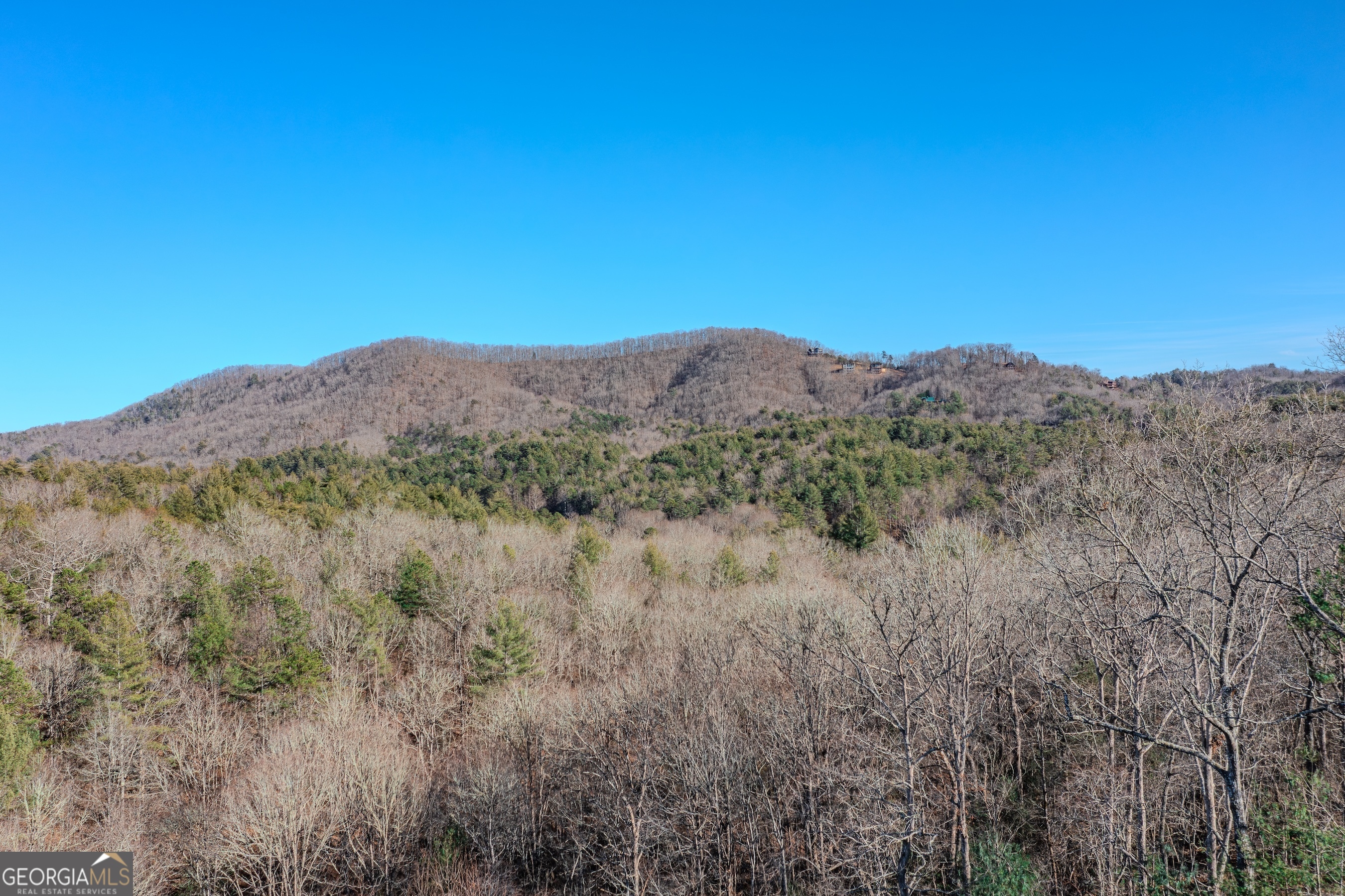 1023 Knollwood Road Mineral Bluff GA 30559