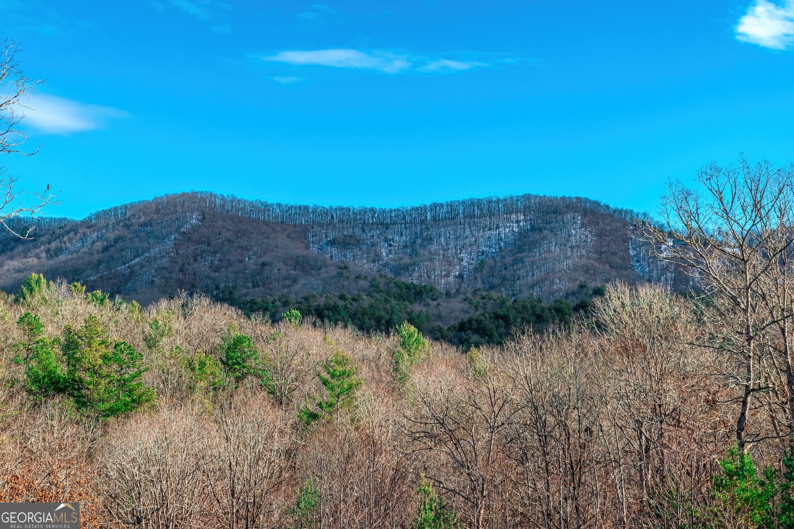 1023 Knollwood Road Mineral Bluff GA 30559
