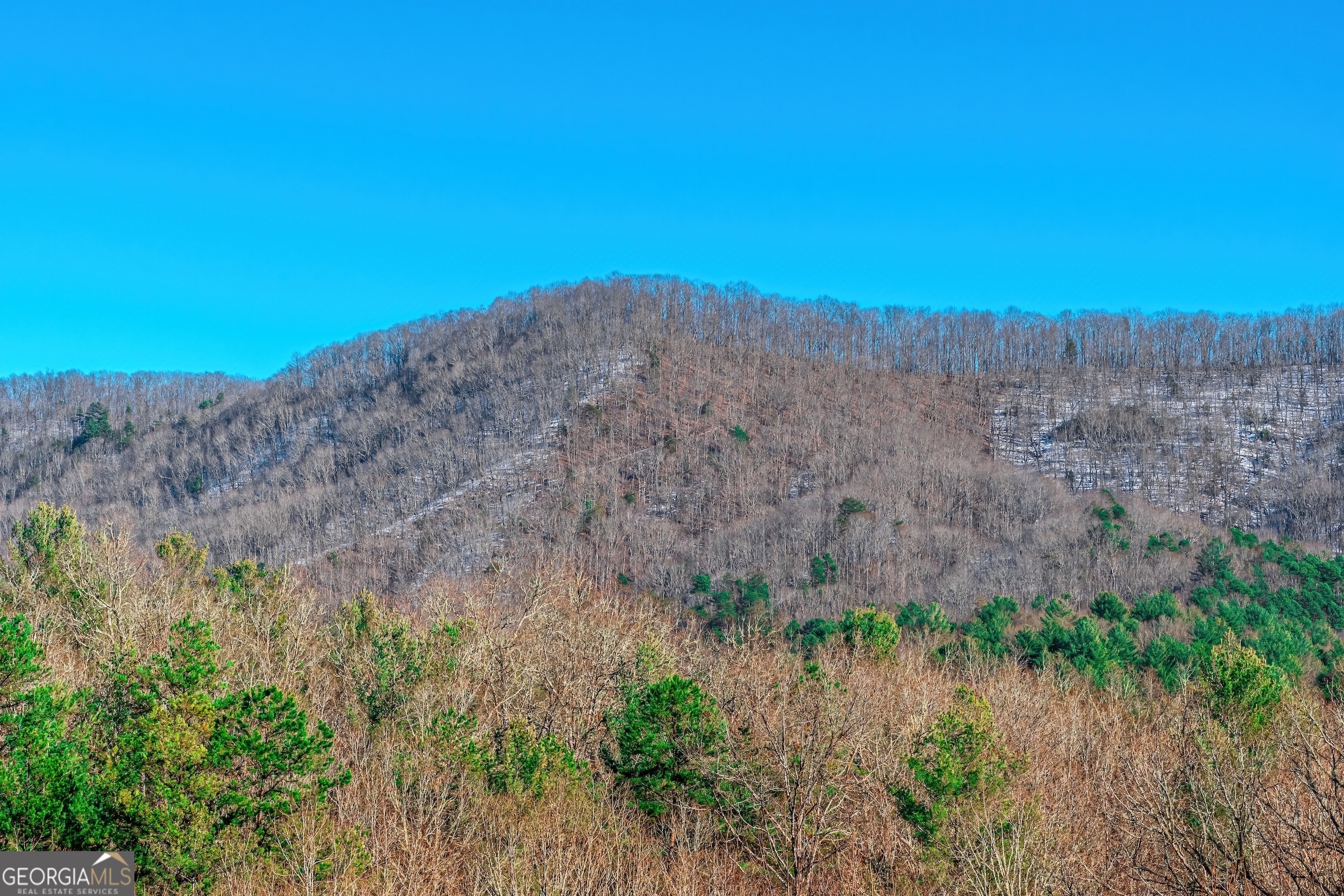 1023 Knollwood Road Mineral Bluff GA 30559
