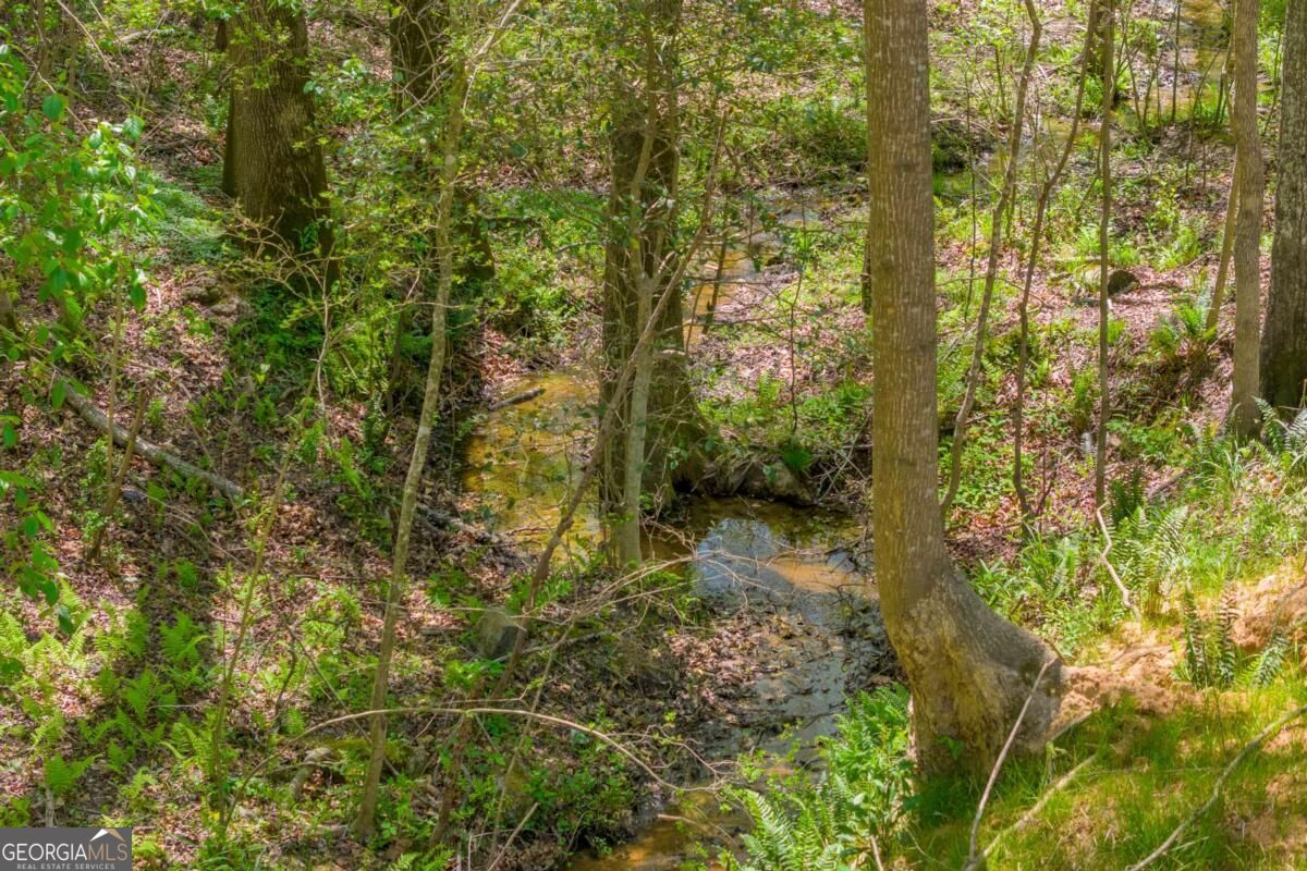 1715 Faye Carey Road Danielsville GA 30633