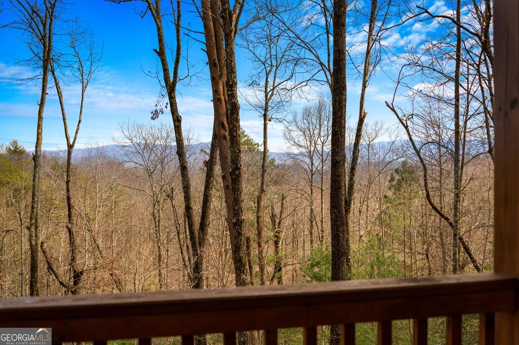 275 N Moreland Drive Cherry Log GA 30522