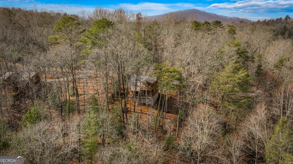 275 N Moreland Drive Cherry Log GA 30522