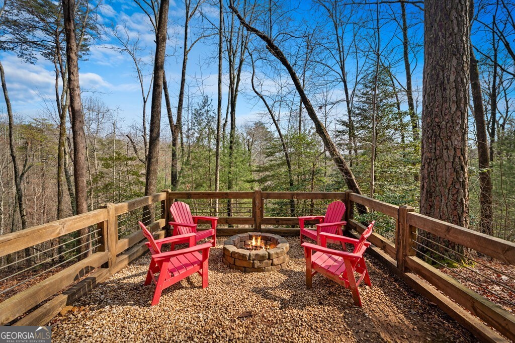 275 N Moreland Drive Cherry Log GA 30522