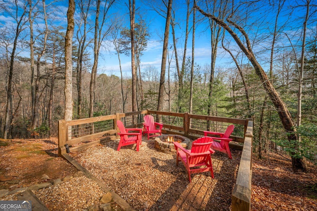 275 N Moreland Drive Cherry Log GA 30522