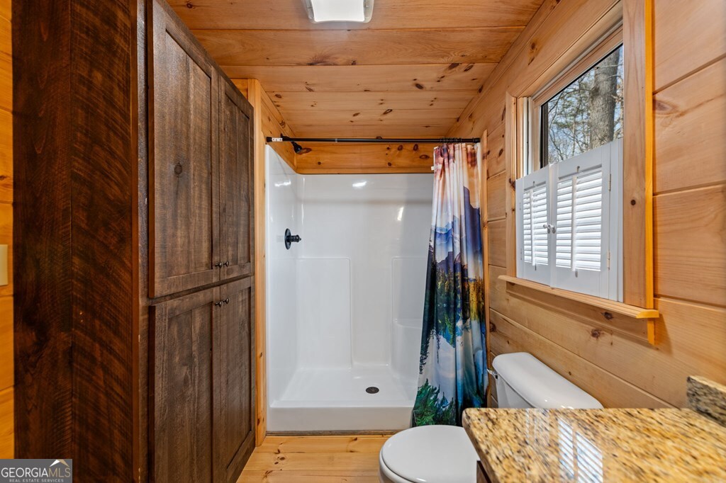 275 N Moreland Drive Cherry Log GA 30522