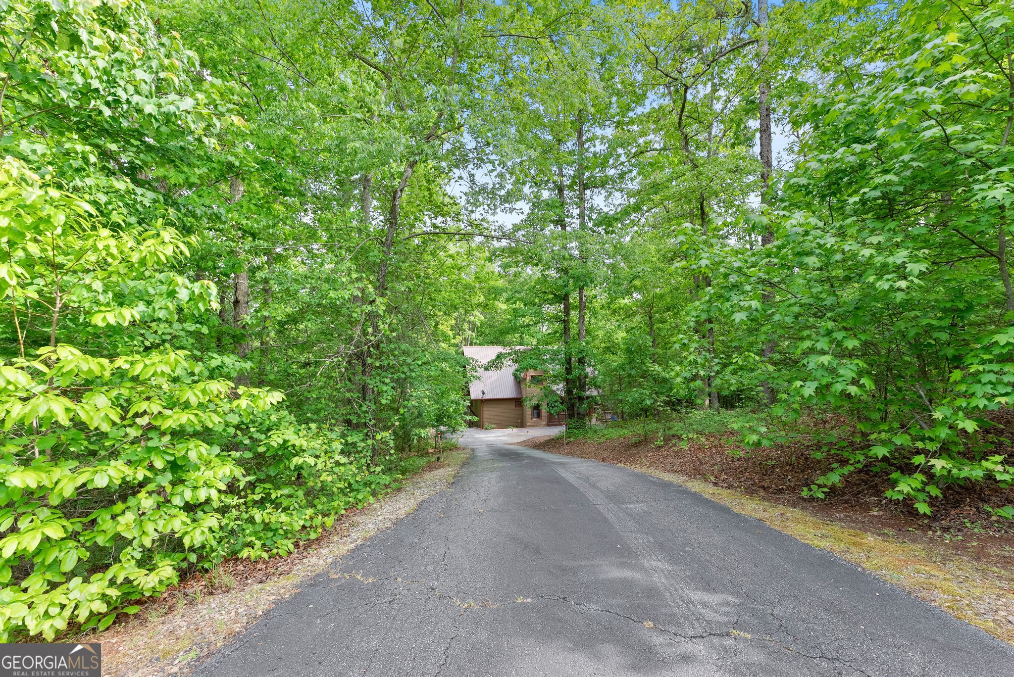 53 Elm Ridge Drive Cleveland GA 30528