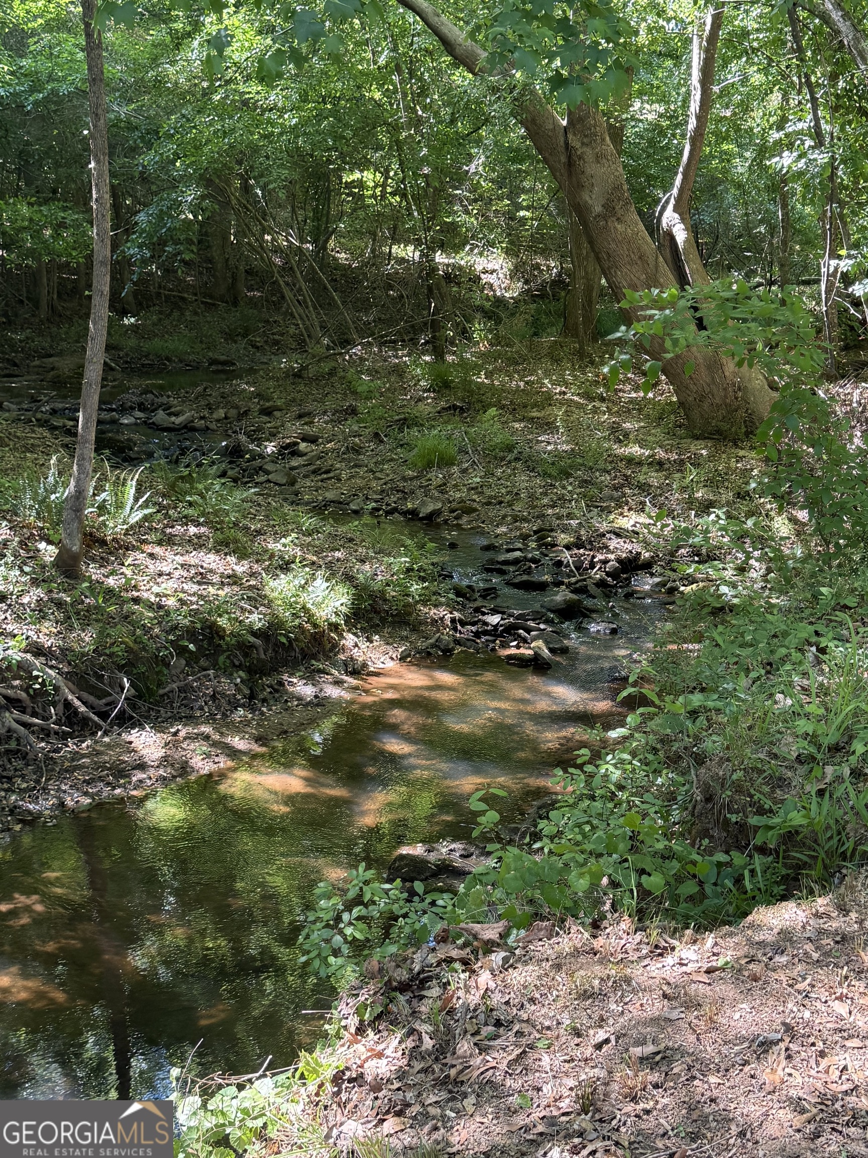 3413 Talking Creek Court Conyers GA 30094