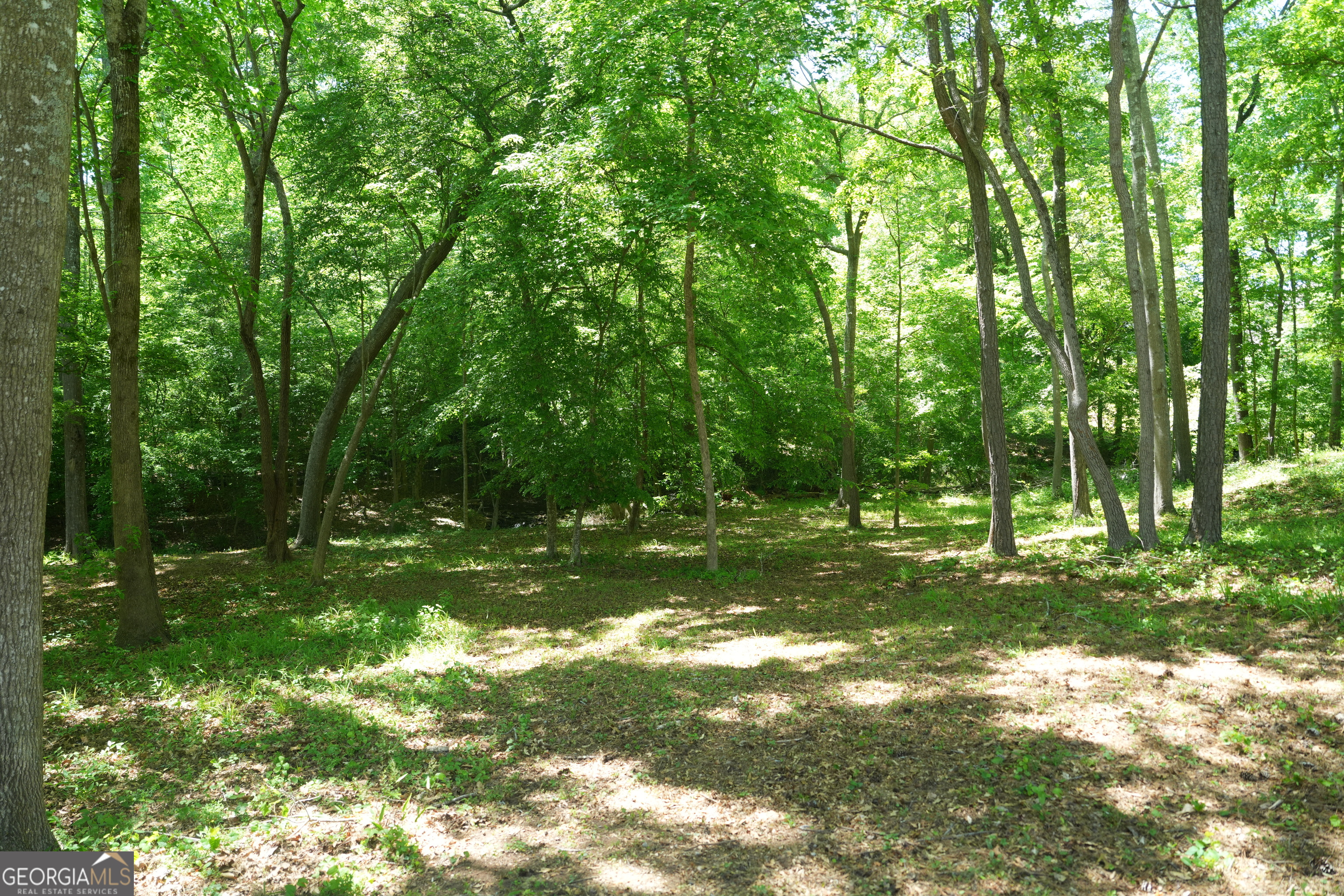 3413 Talking Creek Court Conyers GA 30094