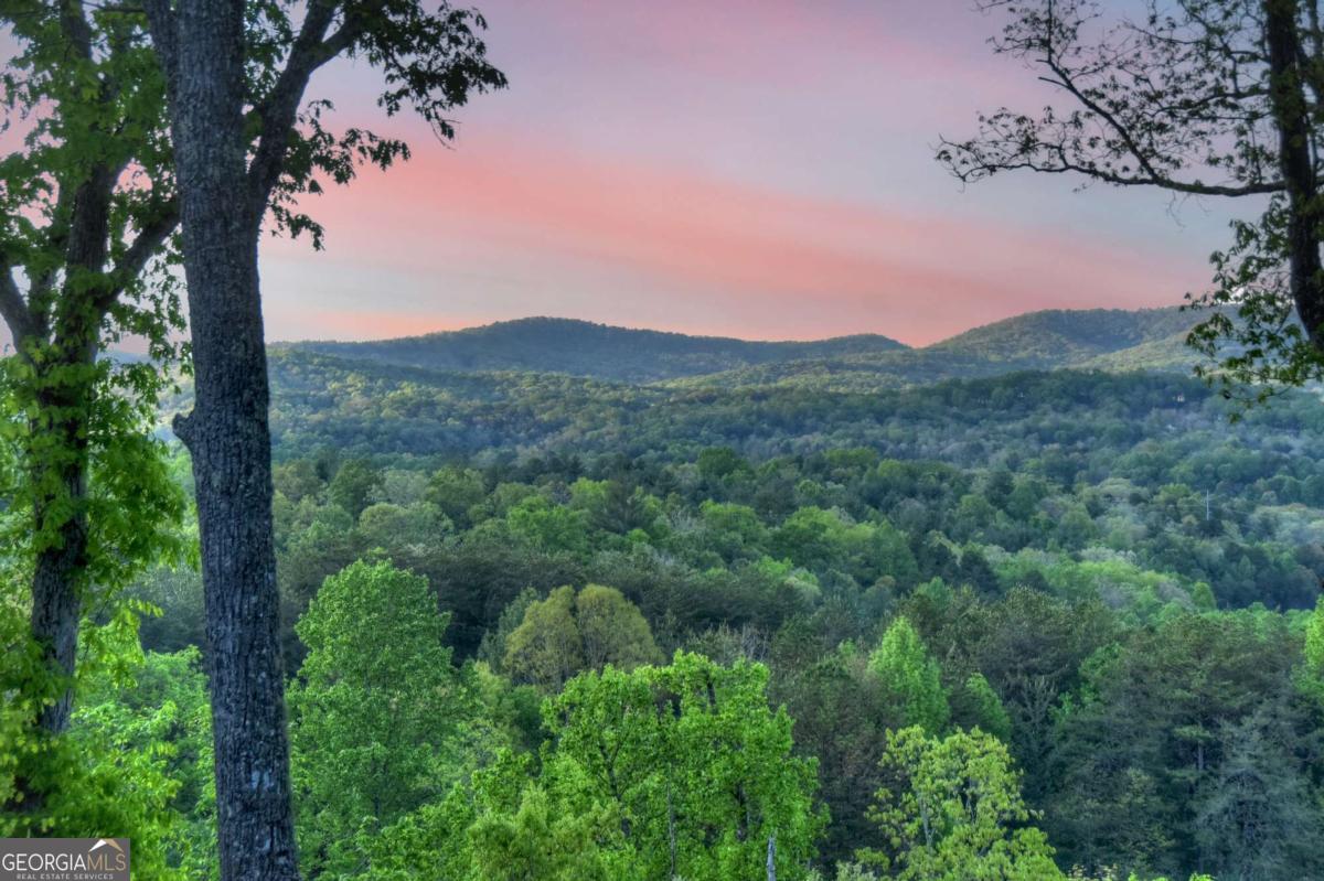 329 Robinson Thomas Road Morganton GA 30560