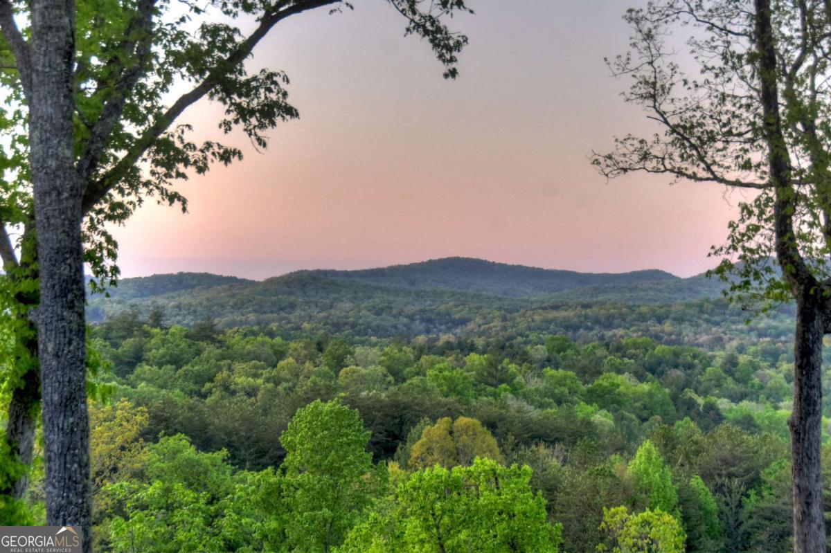 329 Robinson Thomas Road Morganton GA 30560