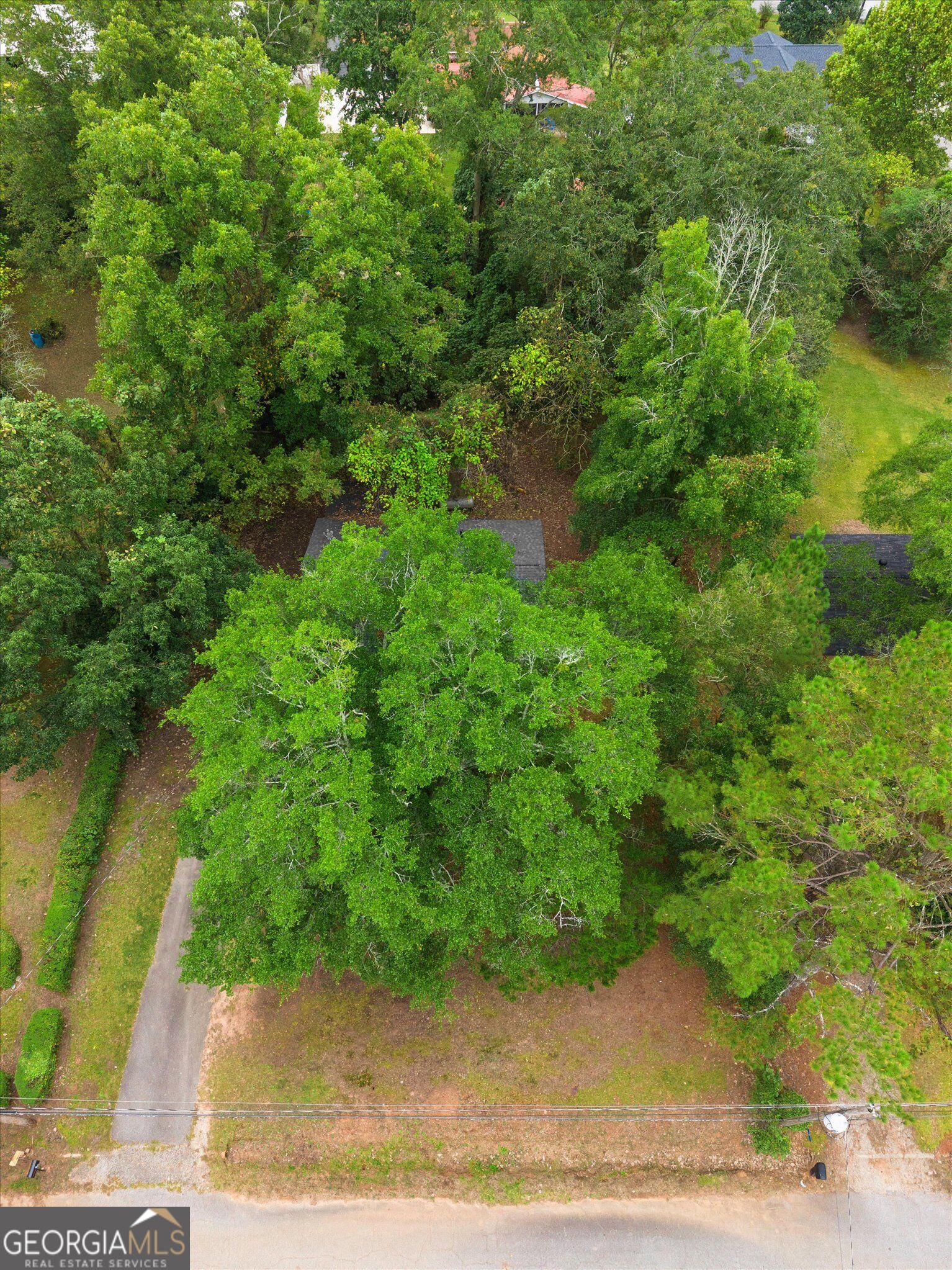 11 Dew Place Forsyth GA 31029