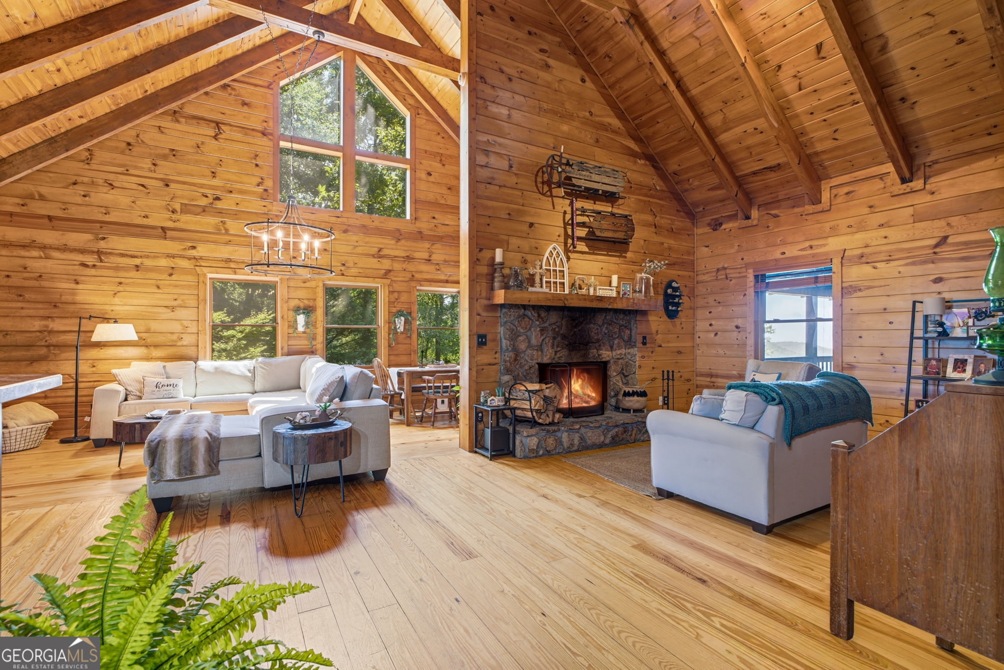 169 Dancing Bear Trail Clayton GA 30525