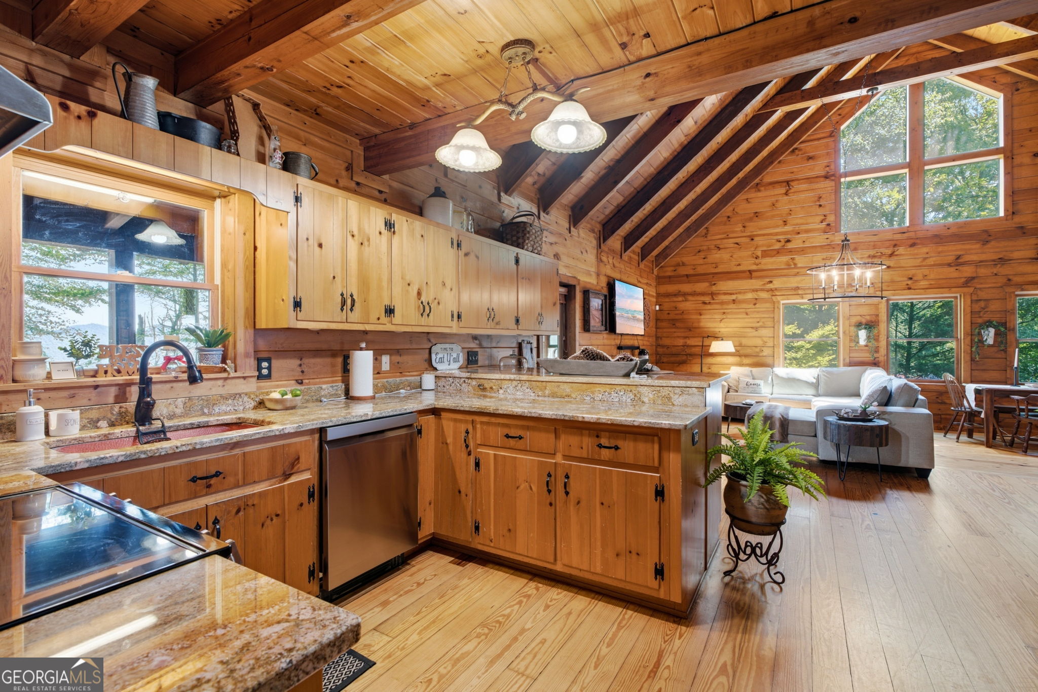 169 Dancing Bear Trail Clayton GA 30525