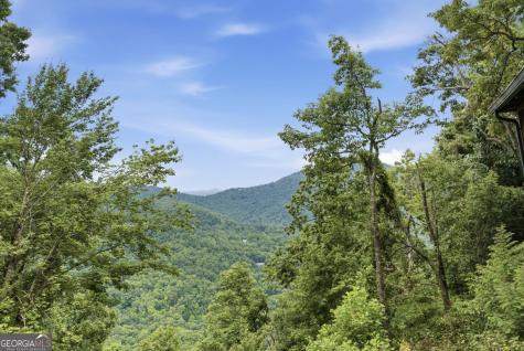 169 Dancing Bear Trail Clayton GA 30525