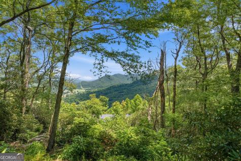169 Dancing Bear Trail Clayton GA 30525