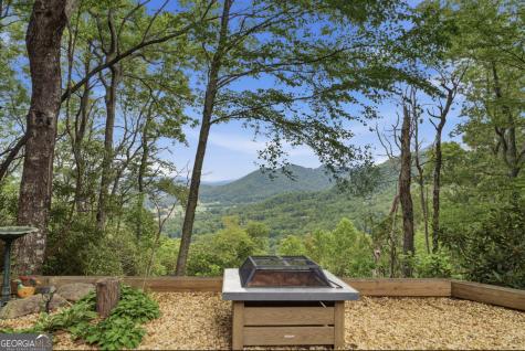 169 Dancing Bear Trail Clayton GA 30525
