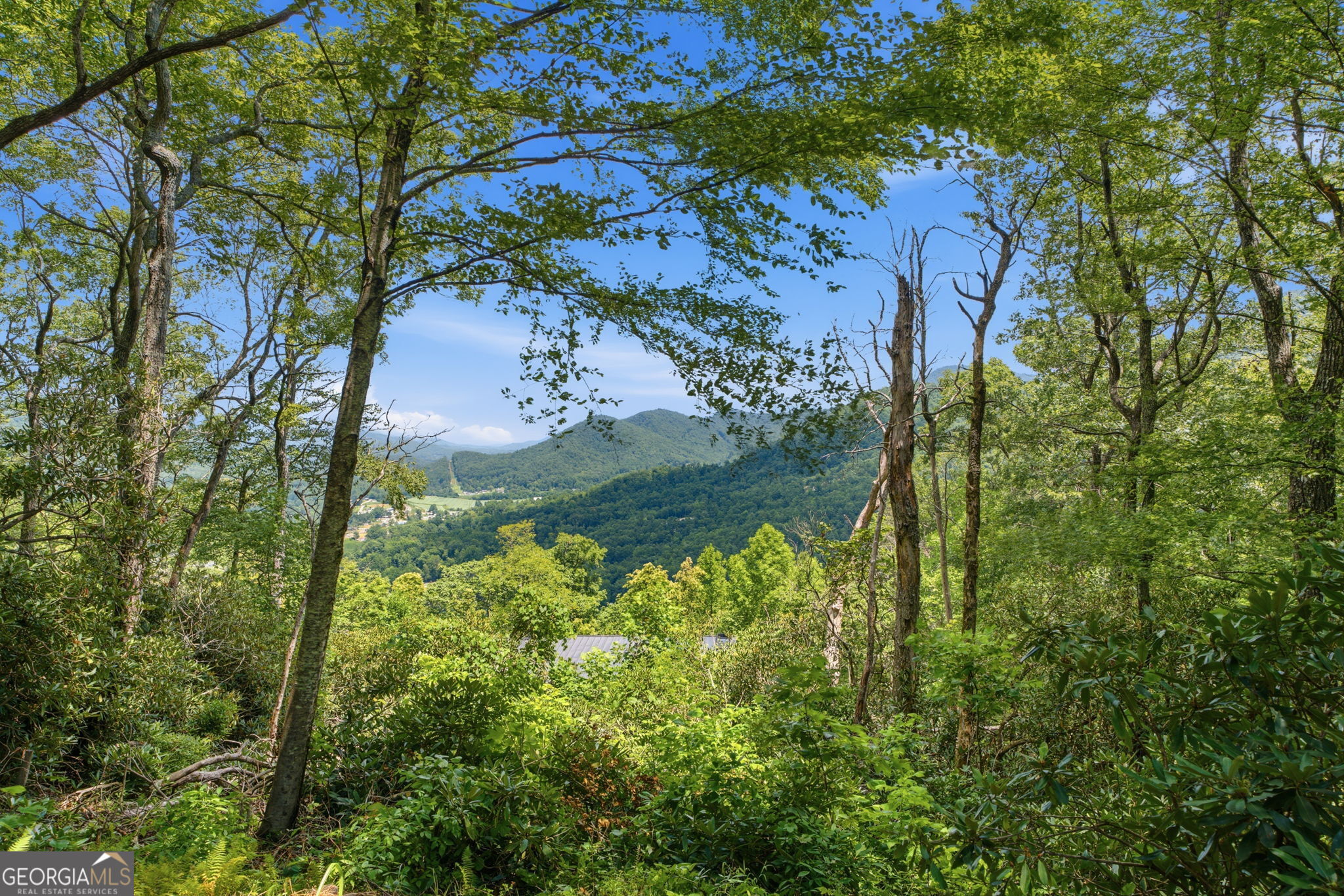 169 Dancing Bear Trail Clayton GA 30525